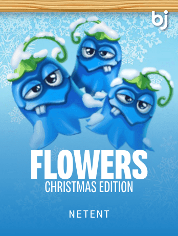 Flowers Christmas Editionpng thumbnail
